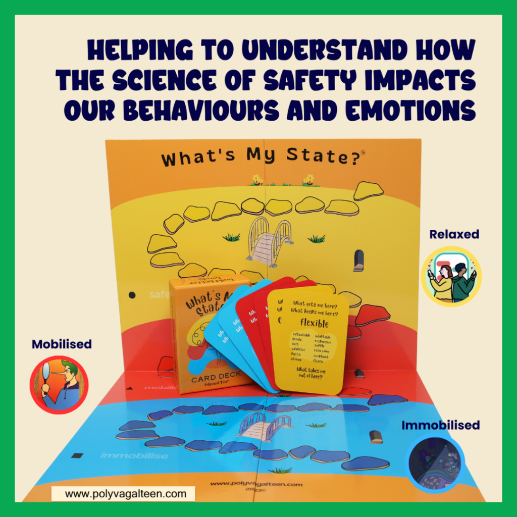 The What’s My State?® board showing yellow relaxed, red mobilised and blue immobilised areas, with stepping stones and bridges. A box and fan of yellow, red and blue state-mapping cards are positioned on the board.